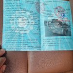IMG_4607.jpeg