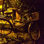 DSCF2114.jpg