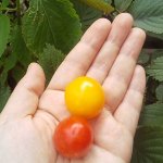 IMG_9046.jpeg