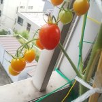 IMG_9048.jpeg