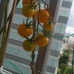 IMG_9047.jpeg