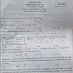 1000038843.jpg