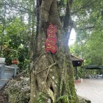 IMG_1916.jpeg