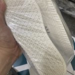 IMG_3356.jpeg