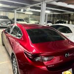 IMG_3419.jpeg