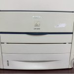 IMG_7025.jpeg