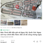 1748309550691.png