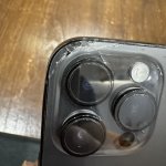IMG_3488.JPEG