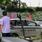 IMG_6811.jpeg