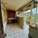 IMG_7037.jpeg