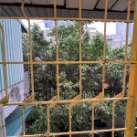 IMG_7036.jpeg