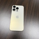 IMG_0390.jpeg