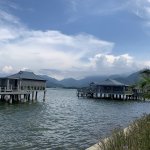 IMG_9031.jpg