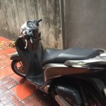 IMG_0797.jpeg