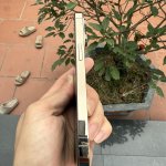 IMG_0403.jpeg