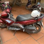 IMG_0736.jpeg
