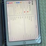 IMG_7413.jpeg