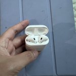 IMG_7411.jpeg