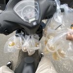 IMG_4960.jpeg
