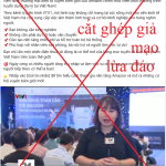 Amazon gia_22.png
