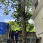 IMG_0450.jpeg