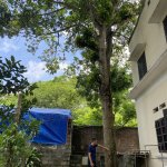 IMG_0449.jpeg