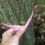 IMG_0483.jpeg