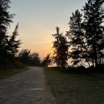 IMG_8594.jpeg