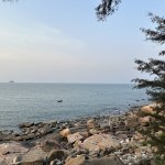IMG_8597.jpeg