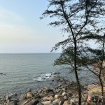 IMG_8585.jpeg