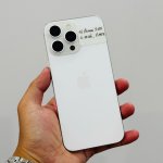 e79462aa48d5fc8ba5c4.jpg