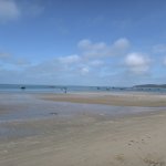 IMG_20250531_082143.jpg