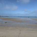 IMG_20250531_082149.jpg