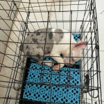 IMG_0795.jpeg