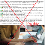Amazon gia_25.png