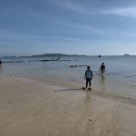 IMG_20250601_072752.jpg