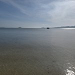 IMG_20250601_073328.jpg