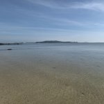 IMG_20250601_073333.jpg