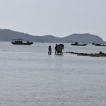 IMG_20250601_073636.jpg