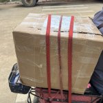 IMG_1393.jpeg