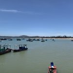 IMG_20250601_123151.jpg