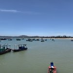 IMG_20250601_123151_1.jpg