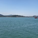 IMG_20250601_142752.jpg