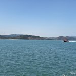 IMG_20250601_142805.jpg