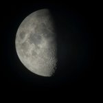IMG_4193.jpeg
