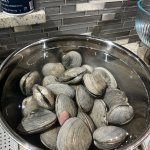 IMG_3279.jpeg