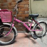 IMG_6657.jpeg