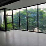 pic 2.jpg