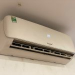 IMG_7065.jpeg
