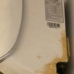 IMG_7066.jpeg